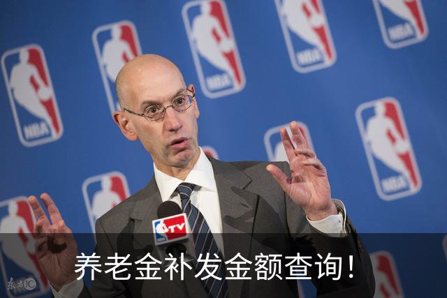 养老金补发金额查询！