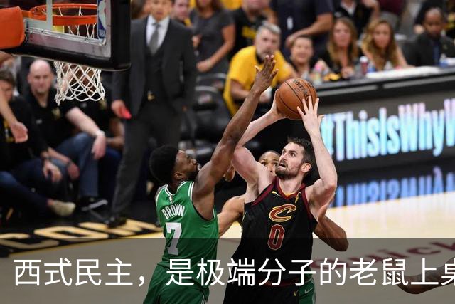 西式民主，是极端分子的老鼠上桌